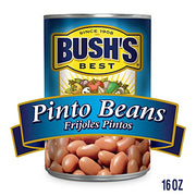 BUSH'S BEST Pinto Beans, 16 Ounce Can, Canned Beans