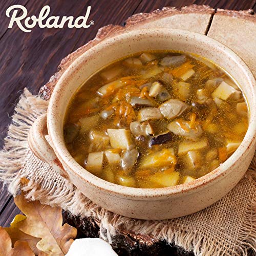 Roland Foods Dried Mixed Wild Mushrooms Specialty Imported Food 1Pound , 16 Ounce